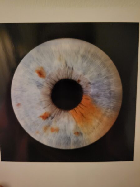 Taidekuva omasta silmästä