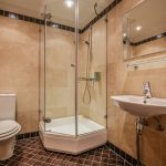 Vihulan kartanon Standard-huoneen kylpyhuone