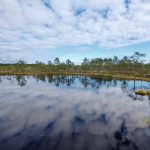 Lahemaan kansallispuisto