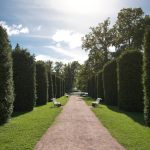 Sagadin kartanon puisto kesällä