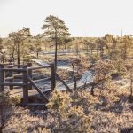 Pitkospuut luontoreitillä Kemerin kansallispuistossa