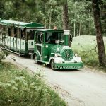 Juna joka kuljettaa vierailijoita Lottemaassa