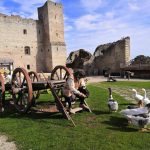 Rakveren linnan sisäpiha, mies ruokkii ankkoja