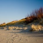 Kuurinkynnäs dyynejä