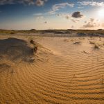 Hiekkadyyniä kuurinkyntäällä