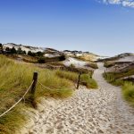 Polku kohti rantaa hiekkadyyneillä.