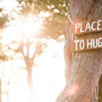 Mäntyyn ripustettu kyltti kertoo, että tässä on paikka jossa voi halata