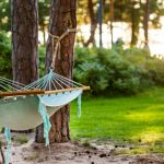 Riippumatto kahden männyn välissä