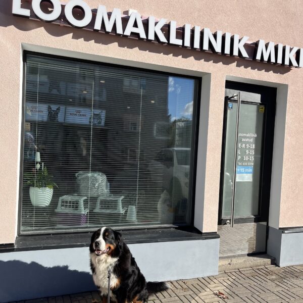 Eläinlääkäriasema Miki