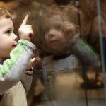 Luonnontieteellinen museo, Tallinna. Pikkupoika.