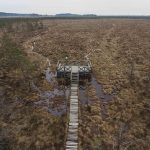 Dzukijan-kansallispuisto