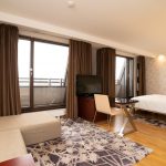 Juniorsviitti on sisustettu maanläheisin värein, oleskelutilan lisäksi makuusoppi