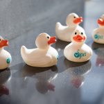 V Spa kumiankkoja 😍