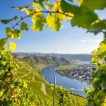 Mosel joen mutka