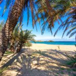 Kaunis maisema, jossa näkyy palmuja, turkoosia vettä ja trooppista rantaa