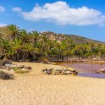 Vai palmtrees-lahti ja ranta Kreetan saarella Kreikassa