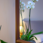 Tunnelmakuvaa kukasta