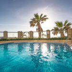 Uima-allas ja palmuja