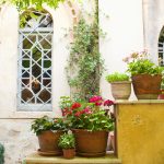 Kukkia vanhan keskiaikaisen bysanttilaisen pyhän Nikolai Rangavasin kirkon edessä