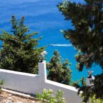 Puiden kehystämä näkymä alas merelle valkoisen kiviaidan takaa.