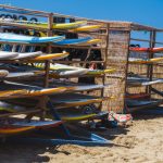Useita surffilautoja telineessä aurinkoisella rannalla.