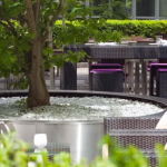 Puuistutus terassilla