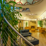 Portaat ja viherkasvi