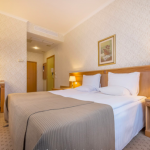 Standard huone parisängyllä