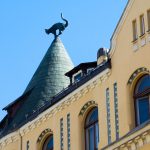 Kissapatsas talon huipulla Riikassa