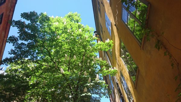 Suloinen kahvila kauniilla sijainnilla