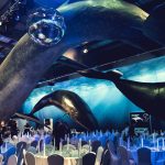 Whales of Iceland näyttely