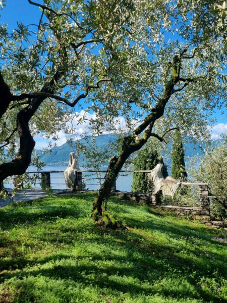 Päiväretki Varennaan junalla