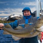 Kalastaja esittelee pyydystämäänsä isoa turskaa veneellä. Taustalla vuoria.