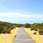 Laudoista tehty kävelyreitti hiekalla kohti merenrantaa.