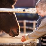 Vembu-Tembumaa pieni poika tervehtii aasia