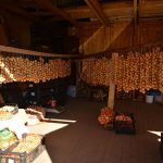 Kolkjan kala- ja sipuliravintola