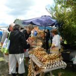 Sipulitien markkinat