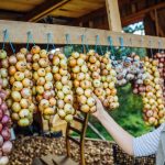 Sipulitien markkinat