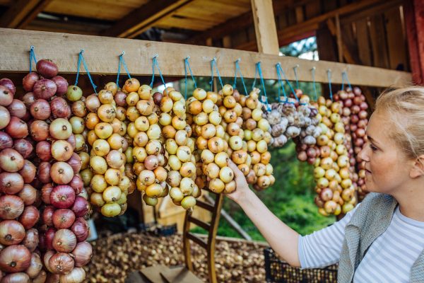 Mystinen Itä-Viron Sipulitie