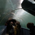 Tromssa, Polaria-akvaario