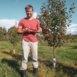 Mies omenapuun vieressä omenoita käsissään