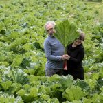 PAriskunta pitää yhdessä raparperinlehteä