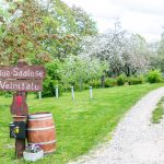 Tienviitta, hiekkatie ja vihreää nurmikkoa