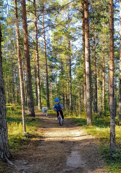 Vatulanharjulle pyörällä