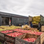 Punaisia omeioita laatikossa hallin edustalla