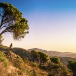 Näkymää kukkuloille auringon nousun aikaan.