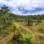 Vaellusreitti kansallispuistossa.