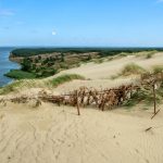 Hiekkadyyneä Kuurinkynkäällä.