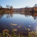 Vilnia-joki syksyllä.