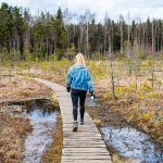 Nainen kävelee puista kävelyreittiä suoalueella.